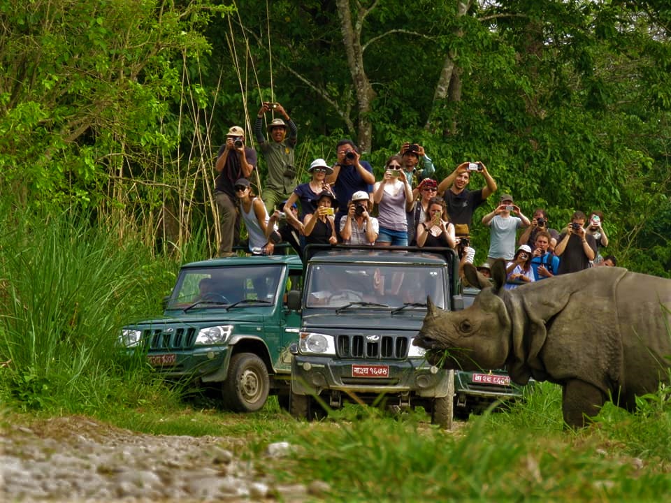 Chitwan Retreat